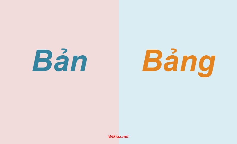 Phân biệt Bản với Bảng