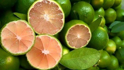 Đặc sản Bắc Giang