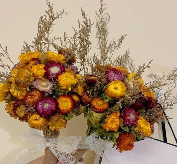 Hoa bất tử có ý nghĩa gì? Đặc điểm, cách trồng loài hoa không tàn