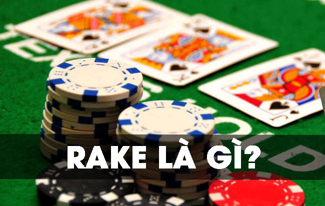 Giải mã: Rake là gì trong Poker? Ý nghĩa của Rake?